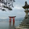 安芸の宮島大鳥居