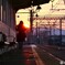 夕陽のスポットライト