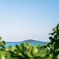 神の宿る島を望む