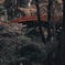 S__64978968