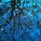 桜(HD size)