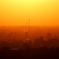 夕陽に輝く