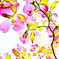 花の香り