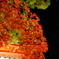 夜八坂