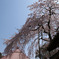 往く春
