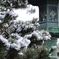 雪の善光寺④
