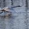 2019-2-27EM1-300mm拡張 (4)