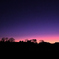 夕暮れ時・ご近所