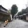 DSC00302