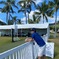 Sony Open in Hawaii 2023 ドライビングレンジ