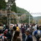 吉野の桜