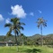 Hawaii Kai Championship Golf Course
