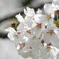 春、目覚めの季節
