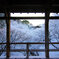 雪の朝 東福寺 臥雲橋から見る通天橋