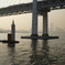 春もやの横浜港