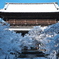 雪を纏った山門