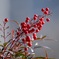 82CB54AD-1A4E-404B-B067-7CA79A07774C