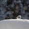 Bubbles popped*