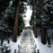 雪と参道