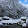 雪の詩仙堂庭園