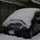 また雪②　前ほどでは