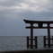 湖にあって
