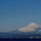 ベタな富士山 でも好きです