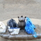 公園あそび