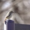 小さな背中に冬の陽射し