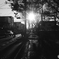Rollei35 monochrome 01