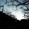 夕暮れの公園