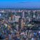 TOKYO NIGHT VIEWS - 44