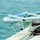 2011-04-29_ MINOLTA α-Sweet_05
