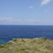 P1000453