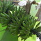P1000587