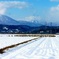 北信濃冬景(田んぼ)