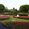 DPP_国営昭和記念公園_2011-04-22_0444