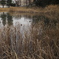 もえぎ野公園