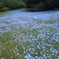 IN THE PARK