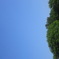 昼下がりの公園