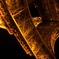 tower