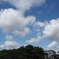 青