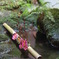 野村家の庭
