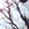 851C9D9F-10FE-4730-A61C-95C55400F197