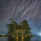星降る夜の鳥居