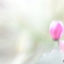 「stay with me」