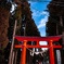 初詣