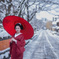 白雪の道