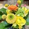 Happy  yellow