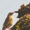 Adobe_20230211_120804~2